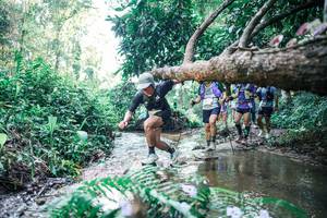 BIB: 
                            <button type="button" onclick="openModal(25444289)" class="btn btn-primary btn-sm float-right btn-popup" data-toggle="modal" data-target=".modal-high-quality">
                        <i class="fas fa-shopping-cart"></i> Add to Cart
                    </button>
                                            <button type="button" onclick="isThisMe(25444289, true)" class="btn btn-success btn-sm float-right btn-popup btn-isme hidden" data-toggle="tooltip" data-placement="bottom" title="นี่คือรูปของคุณใช่ไหม คลิกที่นี่เพื่อเอาเข้าอัลบั้ม">
                        <i class="fas fa-plus"></i> Add to album
                    </button>
                    <button type="button" onclick="isThisMe(25444289, false)" class="btn btn-warning btn-sm float-right btn-popup btn-isnotme hidden">
                        <i class="fas fa-ban"></i> Remove from album
                    </button>